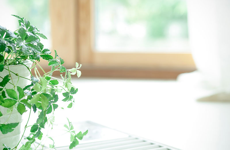 ブログのサムネイル